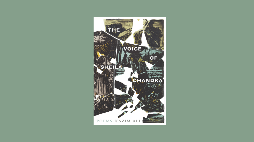 The Voice of Sheila Chandra by Kazim Ali Book Cover